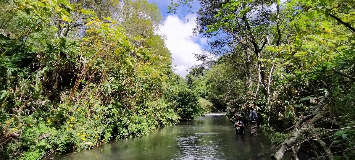 f:id:flyfisher417:20200907223351j:plain