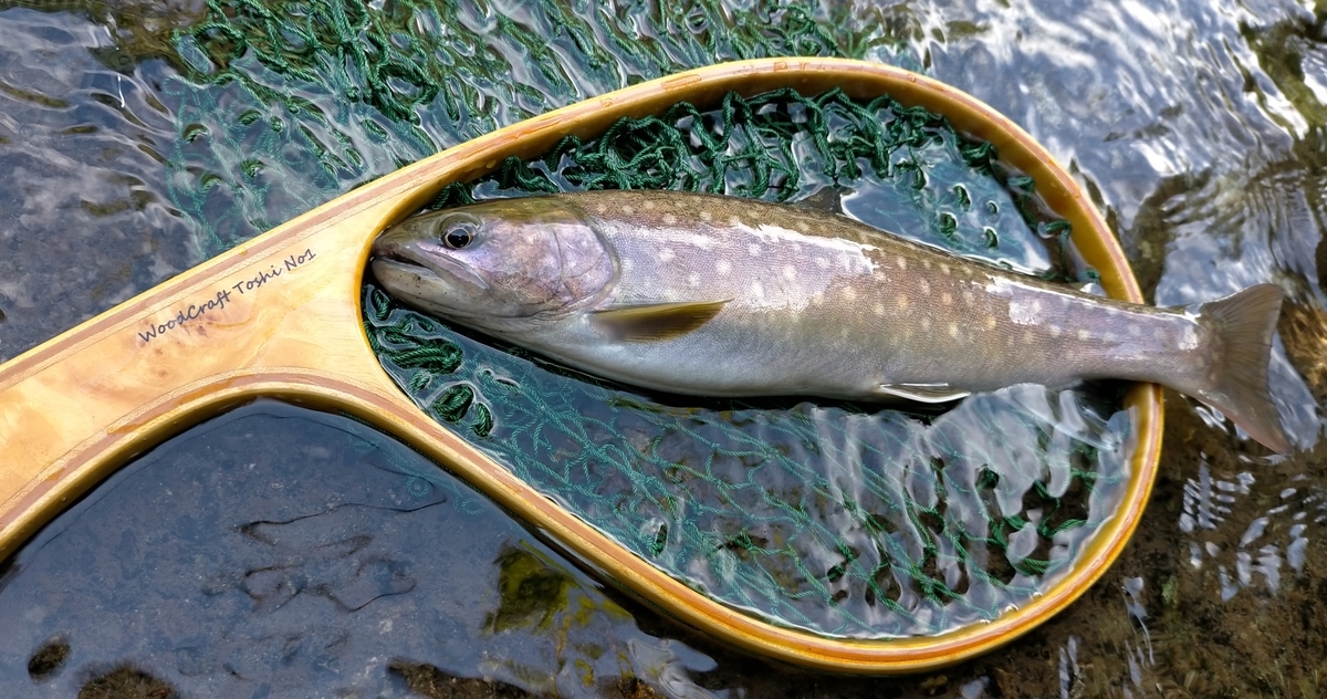 f:id:flyfisher417:20200907225320j:plain