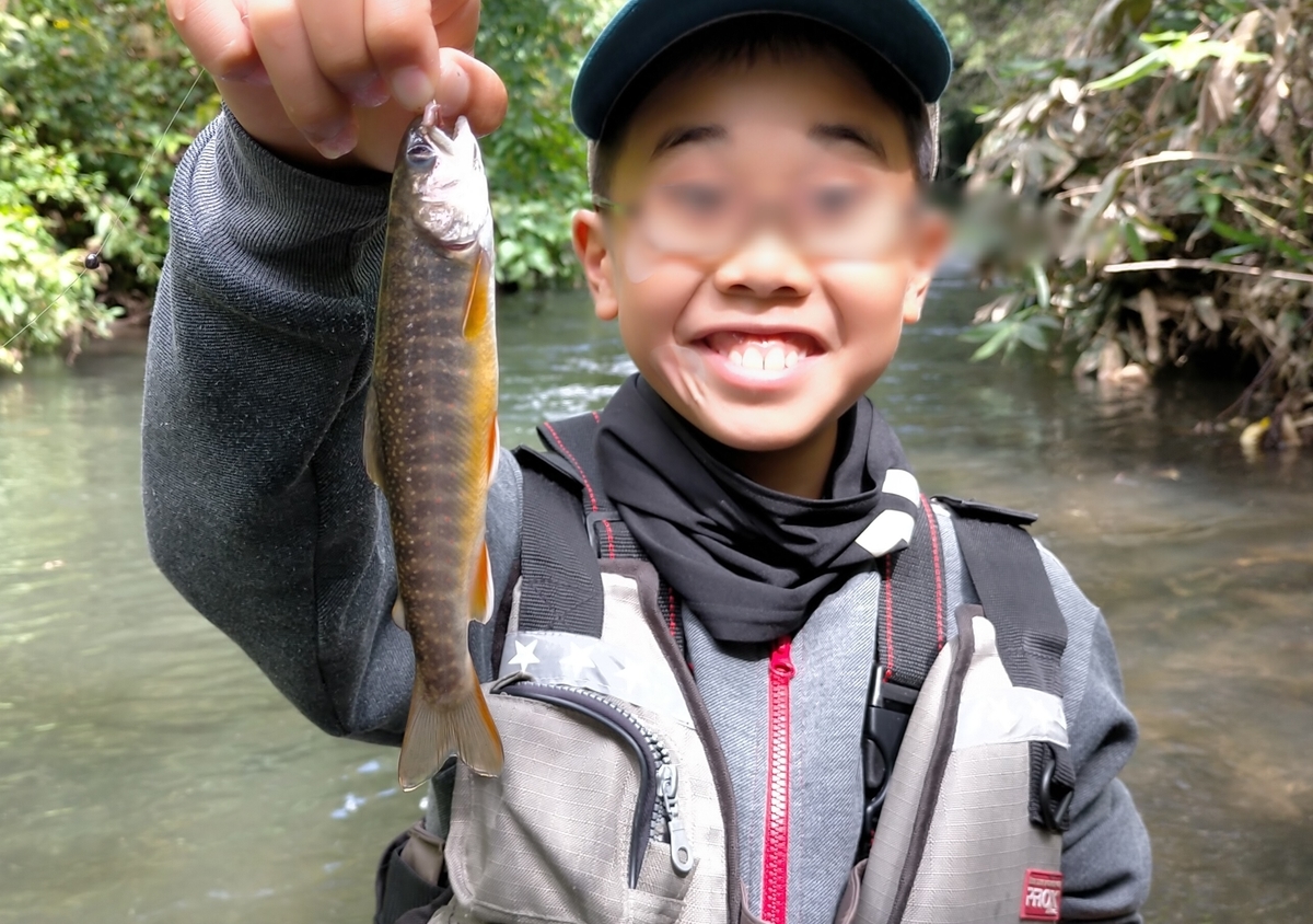 f:id:flyfisher417:20200907225549j:plain