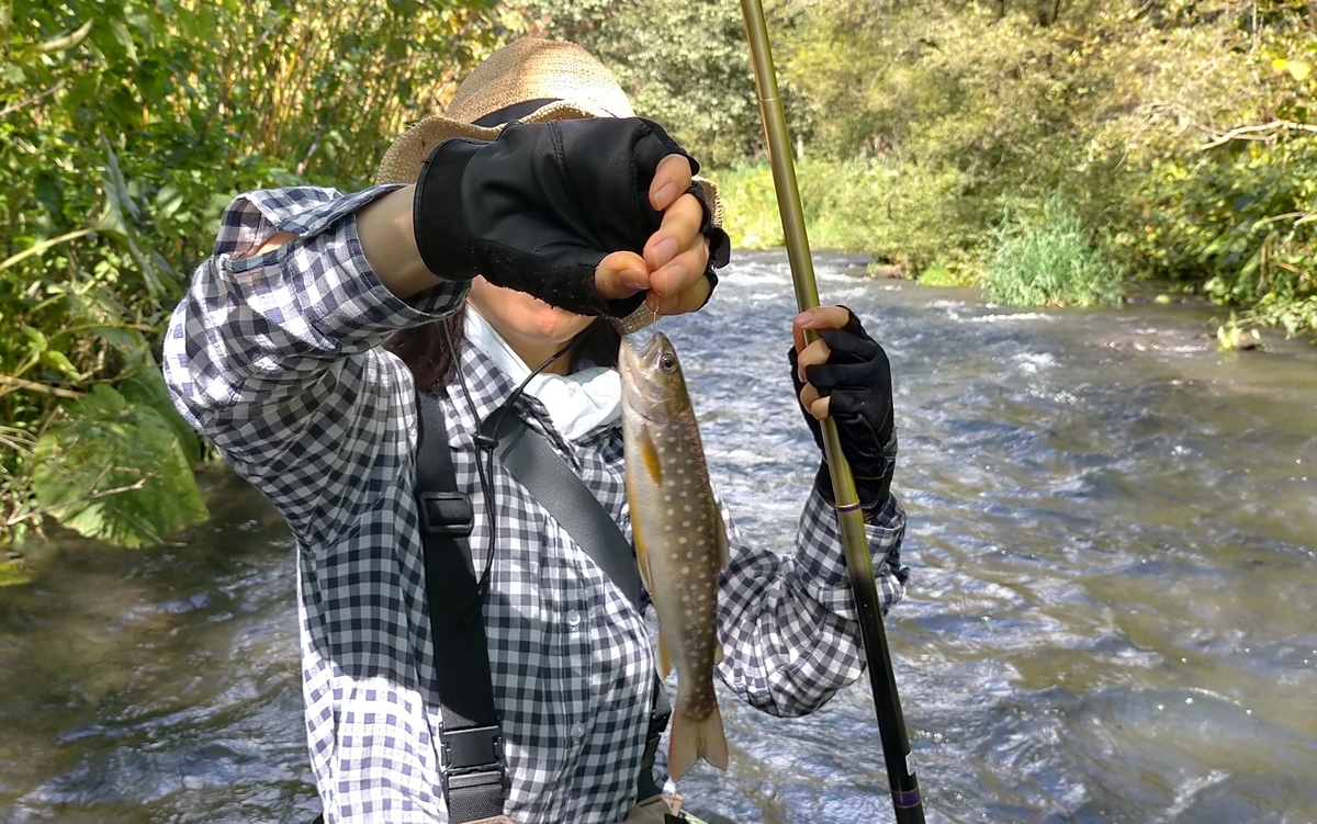 f:id:flyfisher417:20200907230855j:plain