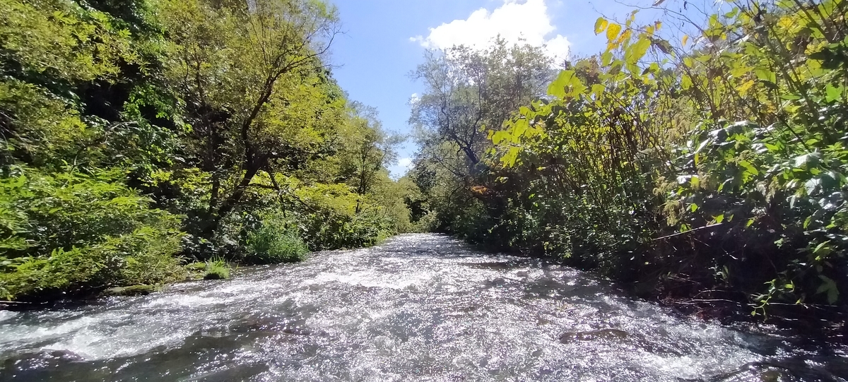 f:id:flyfisher417:20200907235355j:plain