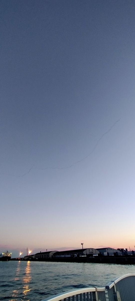 f:id:flyfisher417:20201019194253j:plain