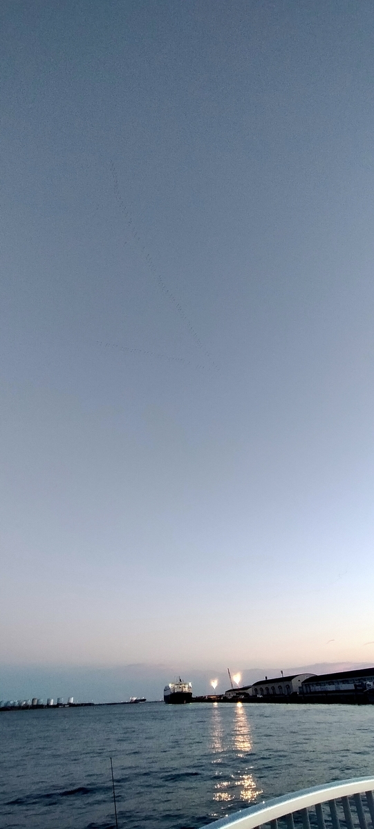 f:id:flyfisher417:20201019194339j:plain
