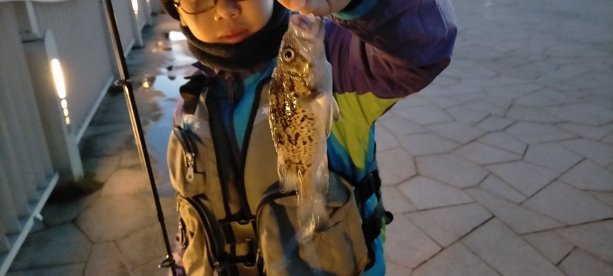 f:id:flyfisher417:20201019202105j:plain
