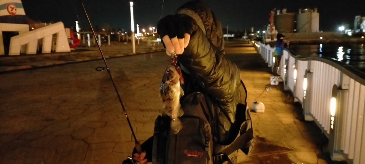 f:id:flyfisher417:20201019202312j:plain