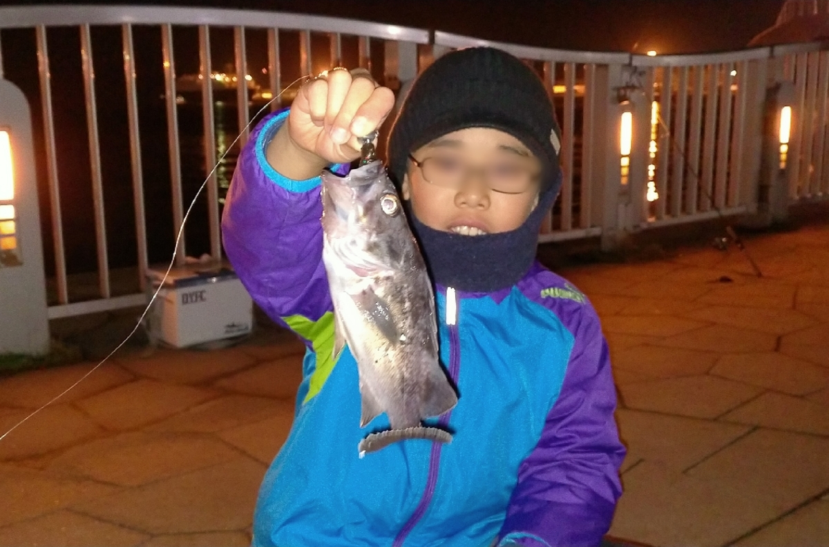 f:id:flyfisher417:20201019203132j:plain