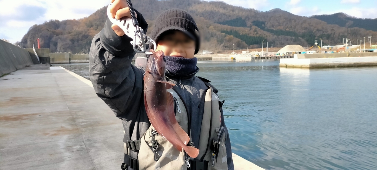 f:id:flyfisher417:20201102225202j:plain f:id:flyfisher417:20201102225202j:plain
