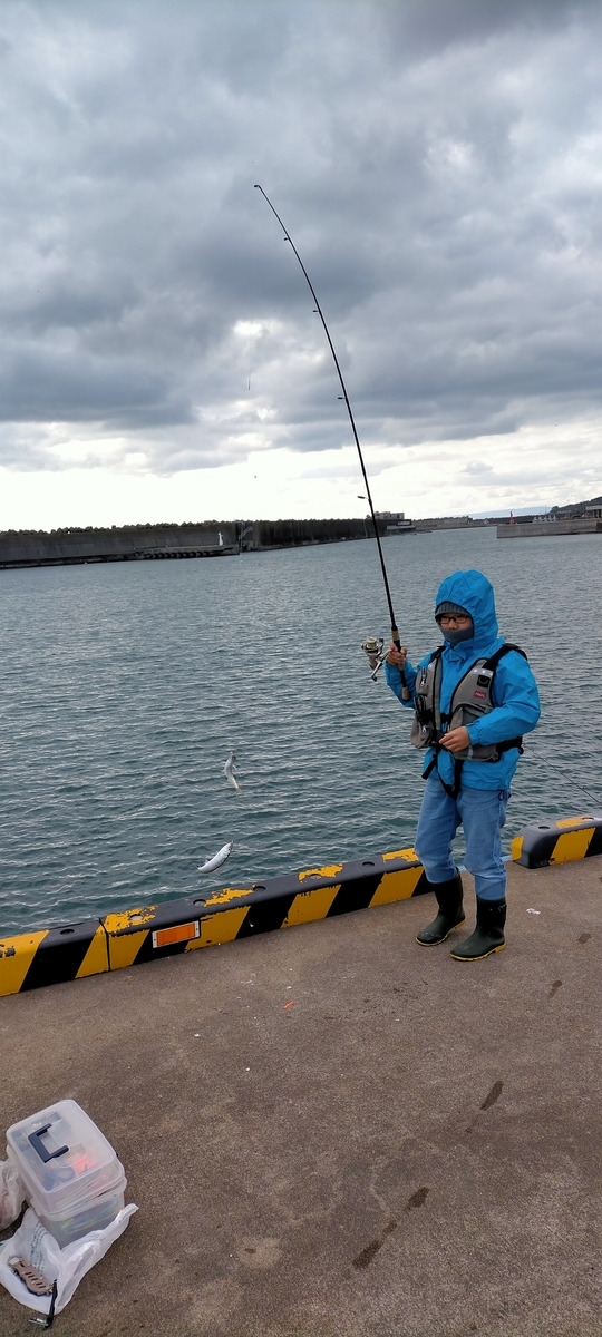 f:id:flyfisher417:20201102232003j:plain f:id:flyfisher417:20201102232003j:plain