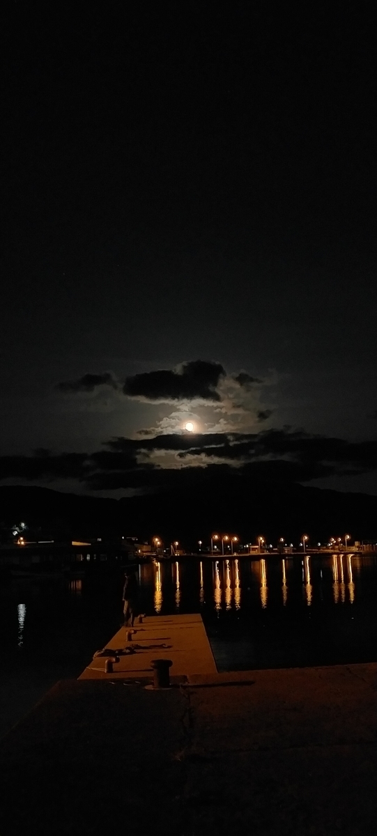 f:id:flyfisher417:20201102233454j:plain f:id:flyfisher417:20201102233454j:plain