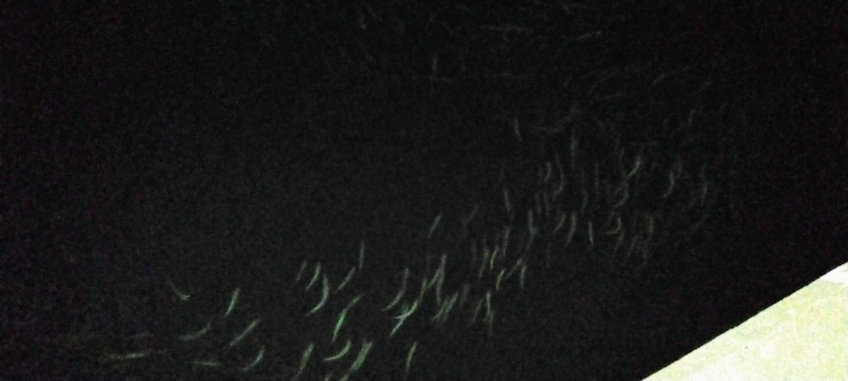 f:id:flyfisher417:20201102233617j:plain f:id:flyfisher417:20201102233617j:plain