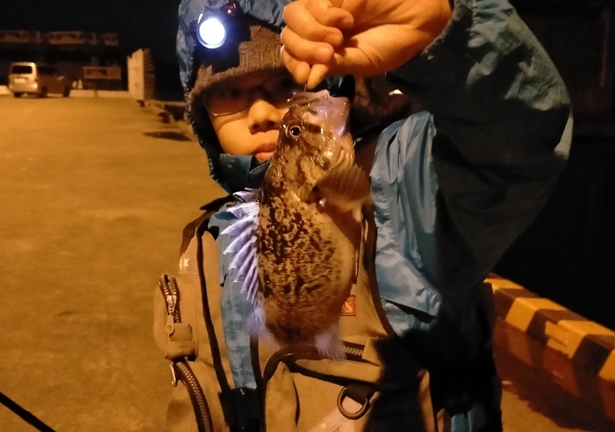 f:id:flyfisher417:20201102233959j:plain f:id:flyfisher417:20201102233959j:plain
