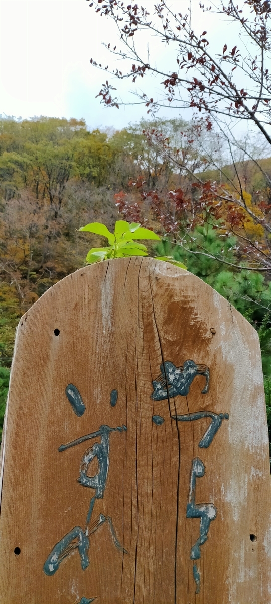 f:id:flyfisher417:20201102235019j:plain f:id:flyfisher417:20201102235019j:plain