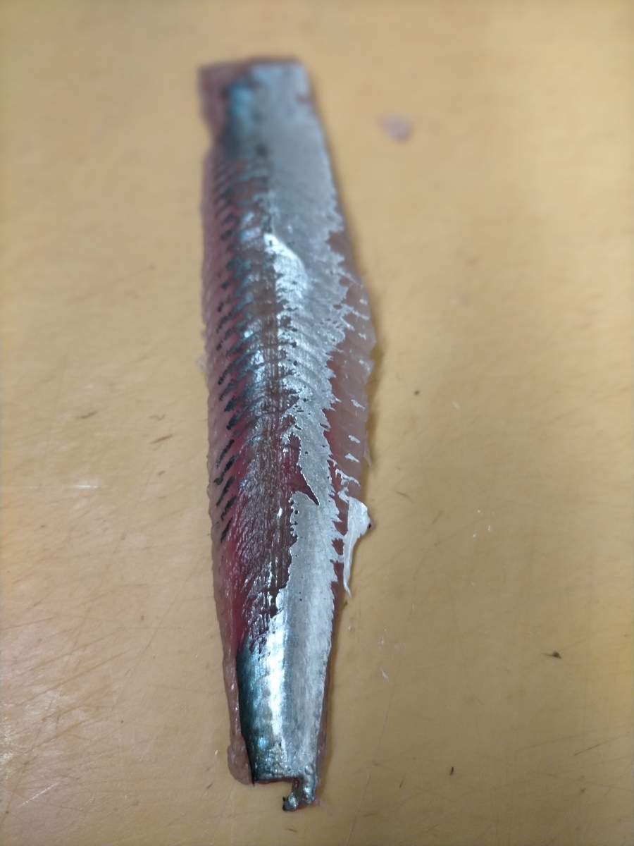 f:id:flyfisher417:20201103002647j:plain f:id:flyfisher417:20201103002647j:plain