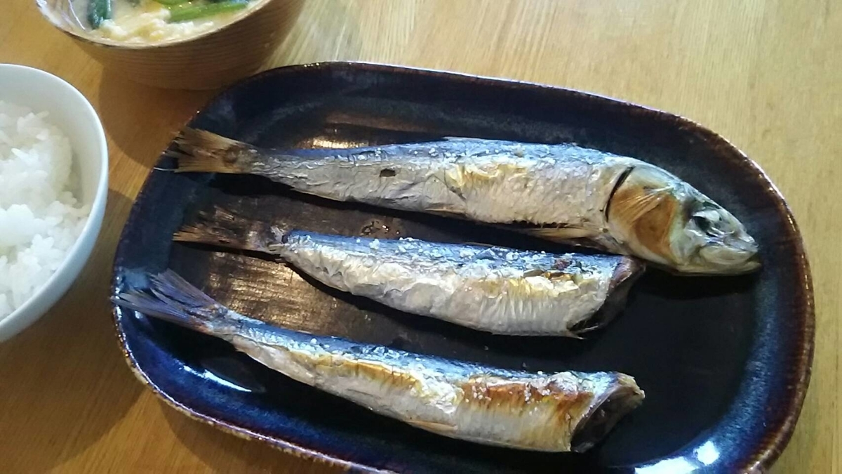 f:id:flyfisher417:20201103002808j:plain f:id:flyfisher417:20201103002808j:plain