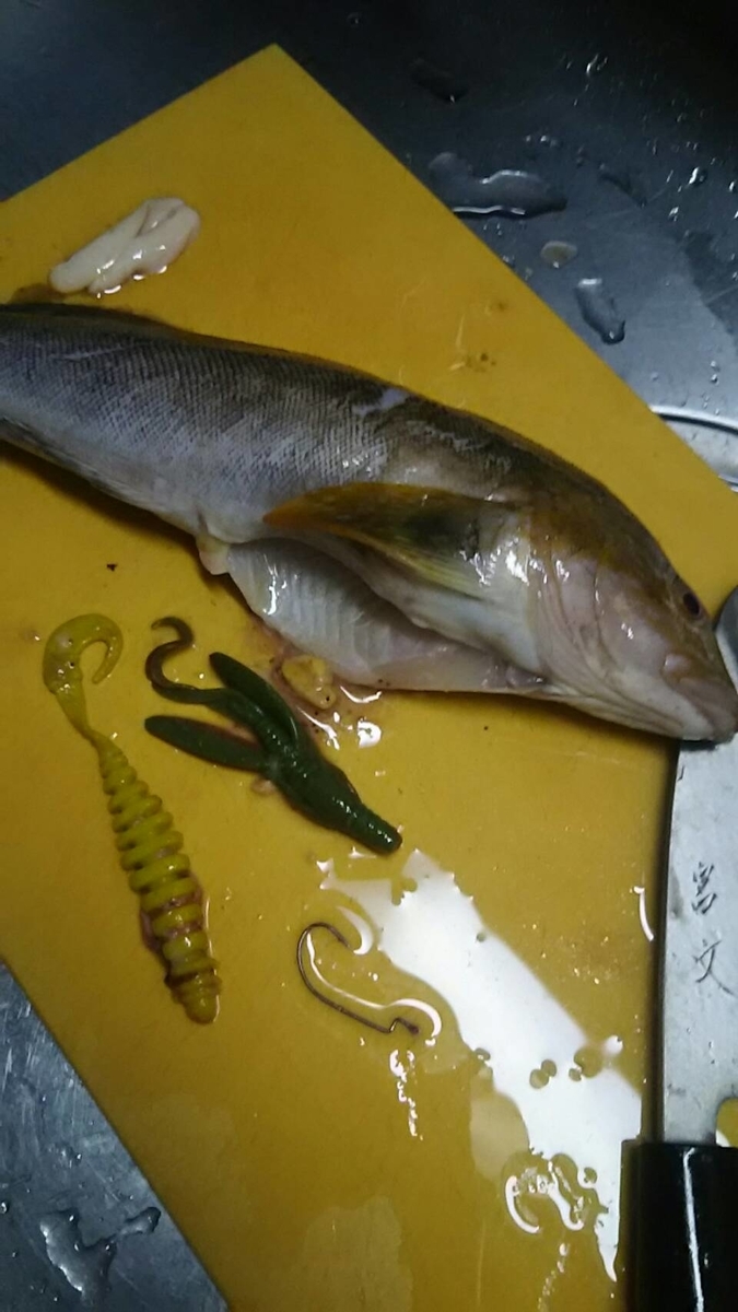 f:id:flyfisher417:20201103003049j:plain f:id:flyfisher417:20201103003049j:plain