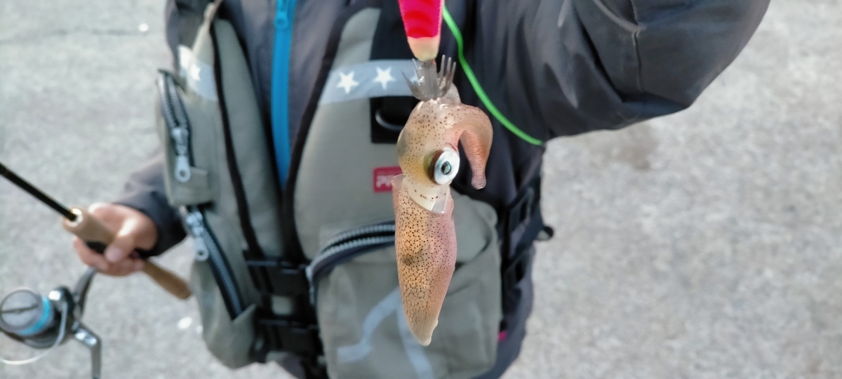 f:id:flyfisher417:20201103065442j:plain