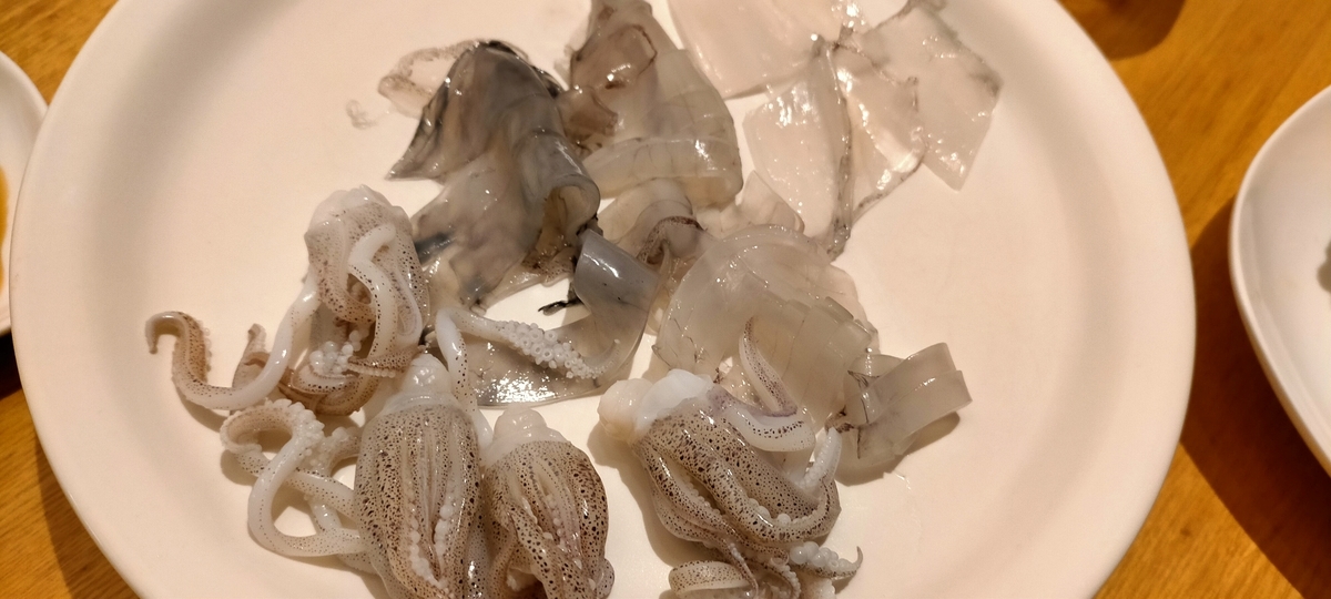 f:id:flyfisher417:20201103070253j:plain