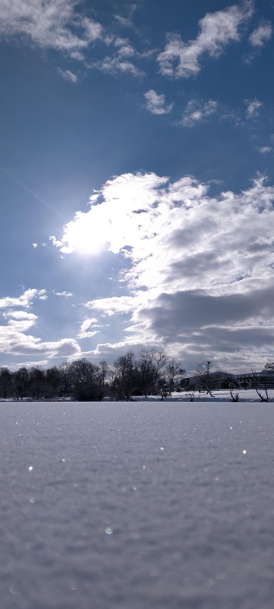 f:id:flyfisher417:20210103151319j:plain