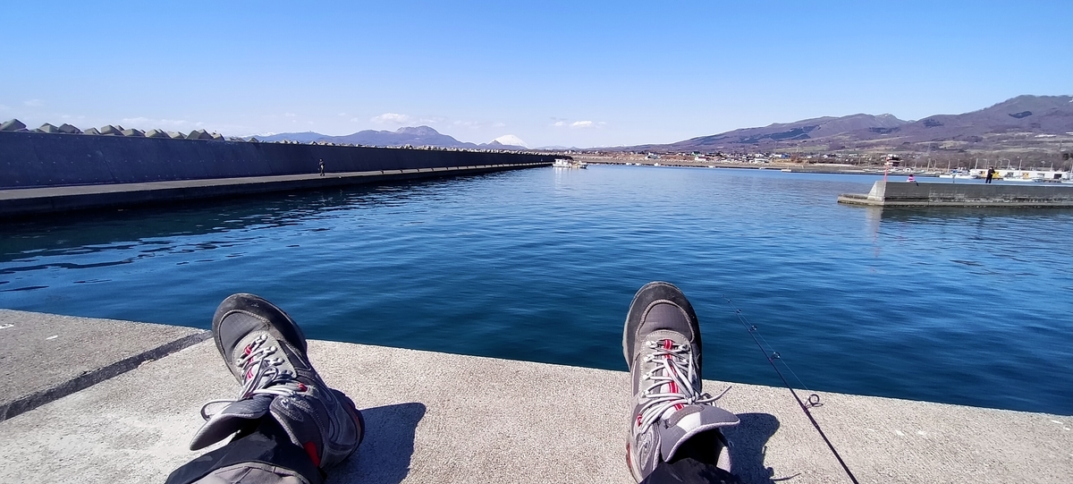 f:id:flyfisher417:20210412124914j:plain