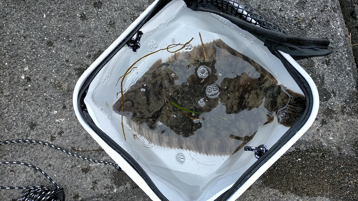 f:id:flyfisher417:20210412125539j:plain
