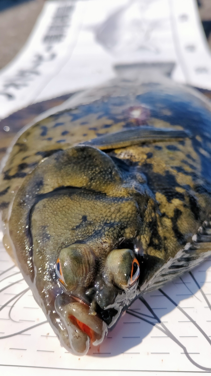 f:id:flyfisher417:20210412130007j:plain