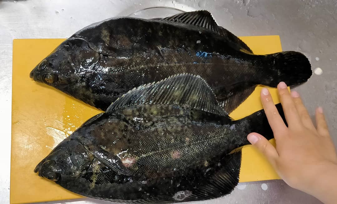 f:id:flyfisher417:20210412230854j:plain