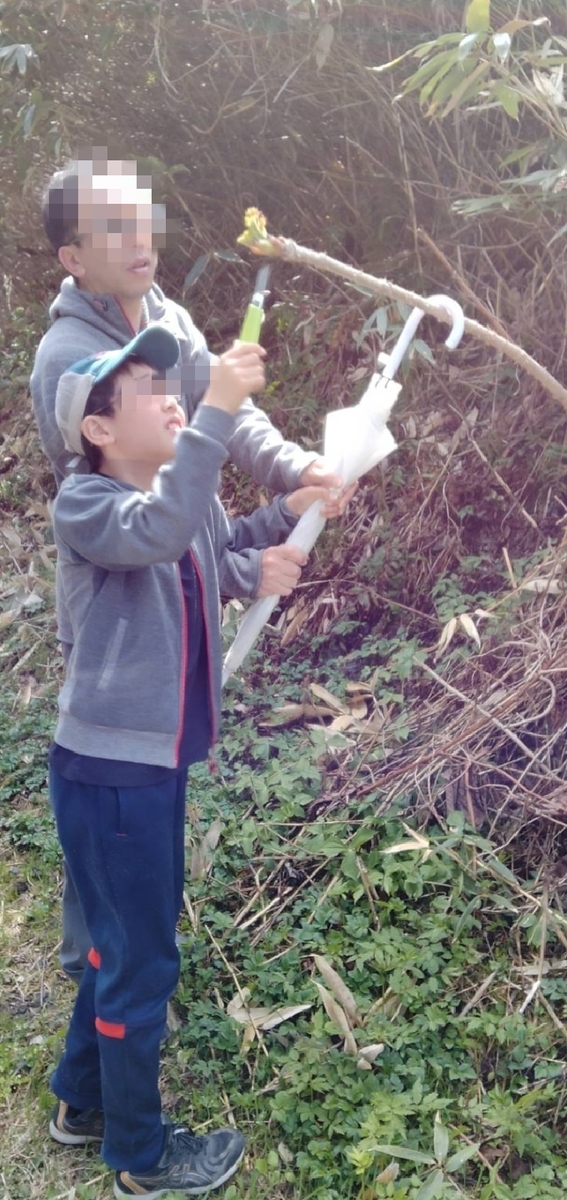f:id:flyfisher417:20210508224959j:plain