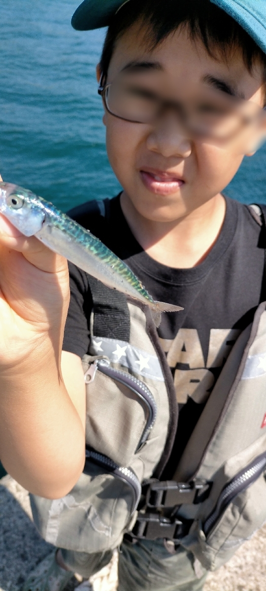f:id:flyfisher417:20210720124608j:plain
