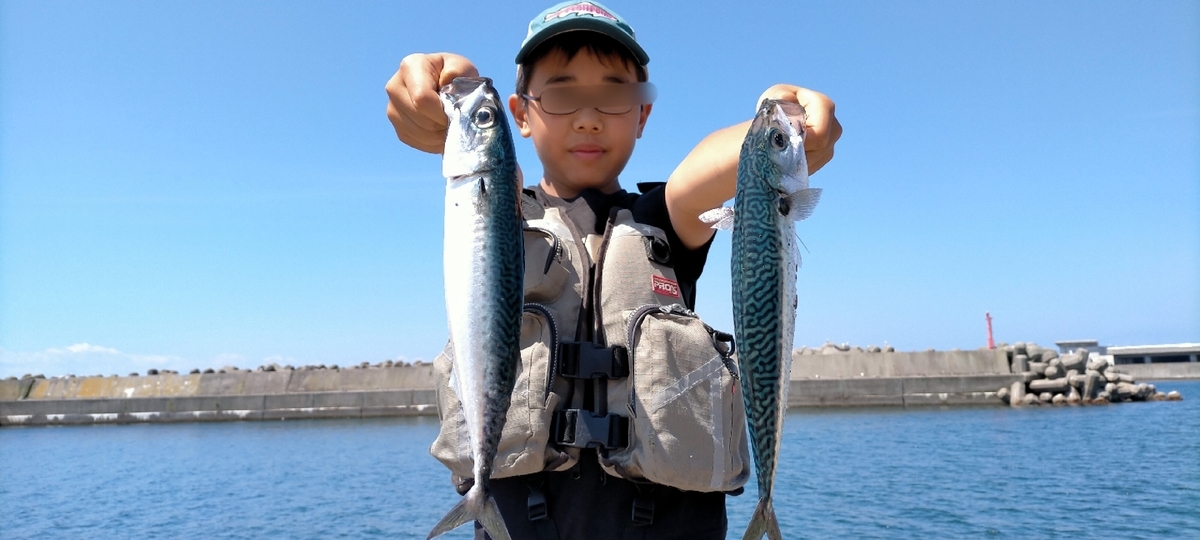f:id:flyfisher417:20210720125038j:plain