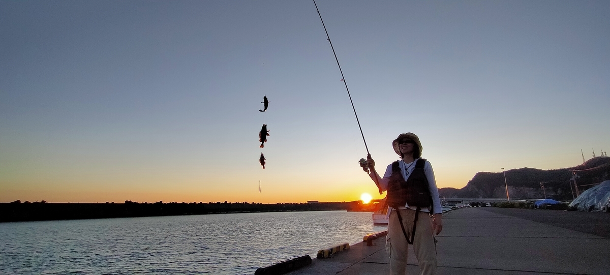 f:id:flyfisher417:20210720182754j:plain