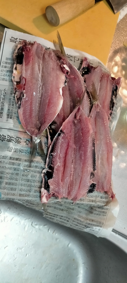 f:id:flyfisher417:20210720184446j:plain