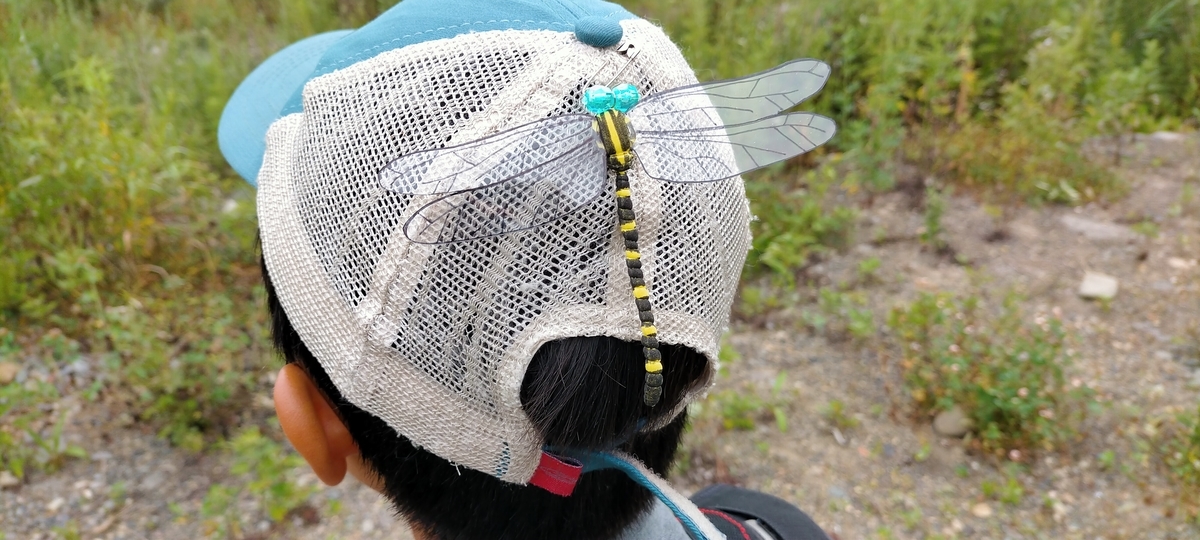 f:id:flyfisher417:20210725072455j:plain