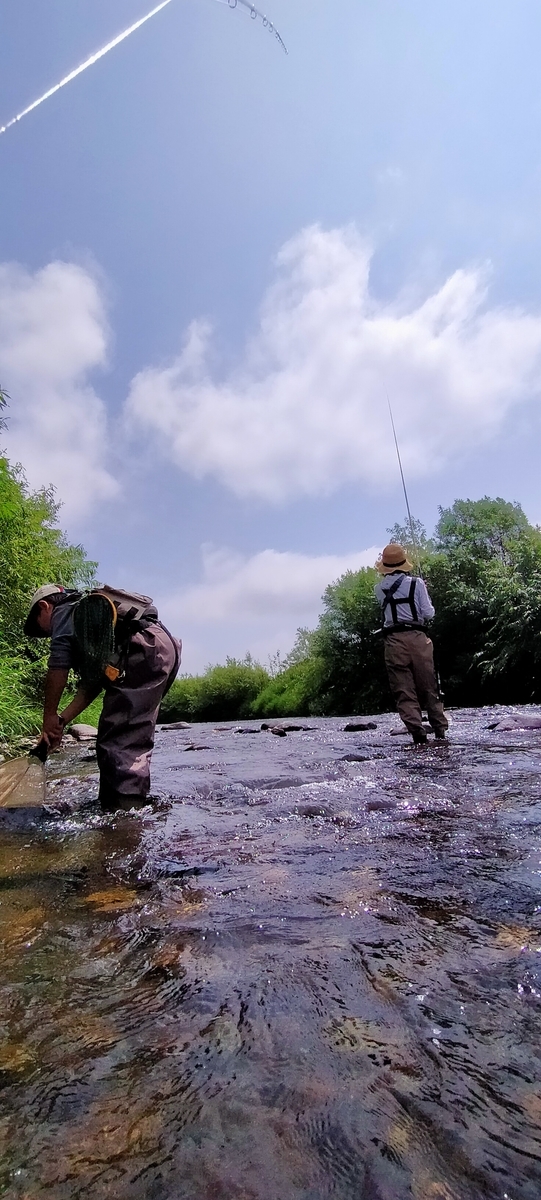 f:id:flyfisher417:20210725113139j:plain