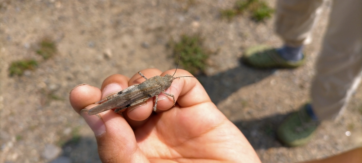 f:id:flyfisher417:20210725114226j:plain