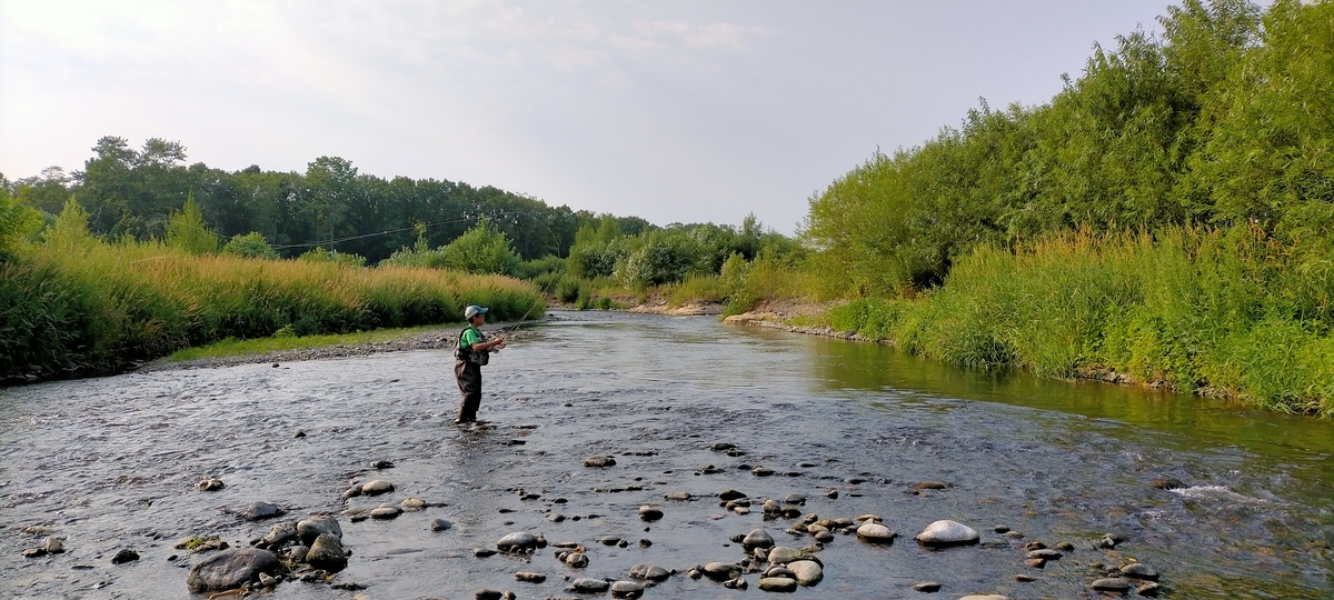 f:id:flyfisher417:20210729123301j:plain