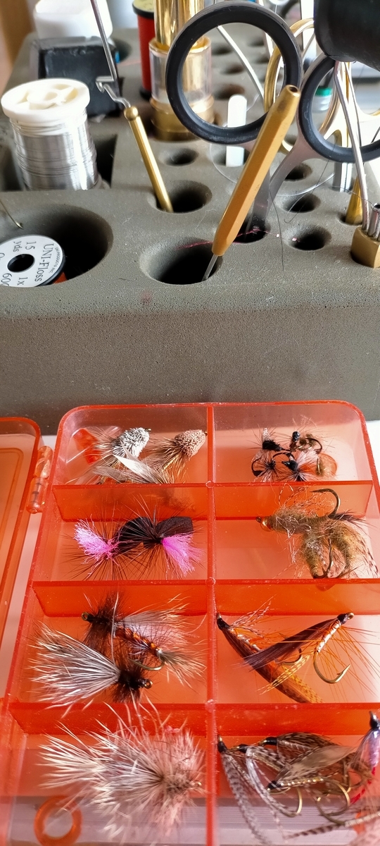 f:id:flyfisher417:20210801144531j:plain