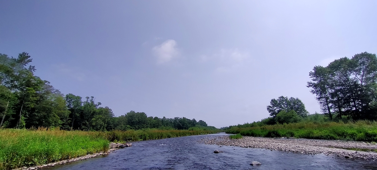 f:id:flyfisher417:20210809074648j:plain