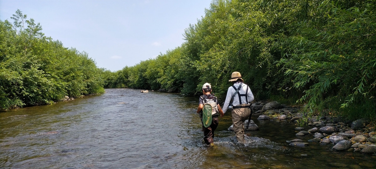 f:id:flyfisher417:20210809075531j:plain
