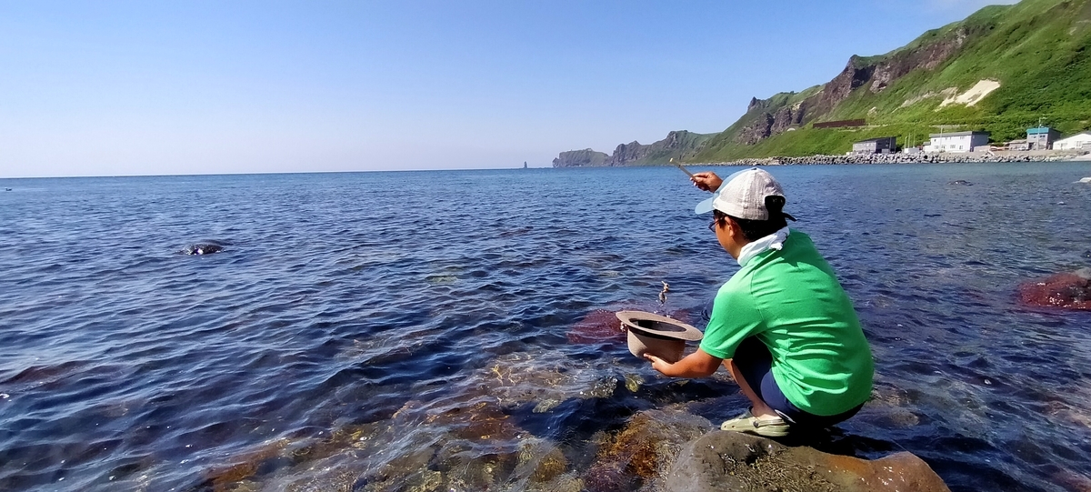 f:id:flyfisher417:20210812091809j:plain