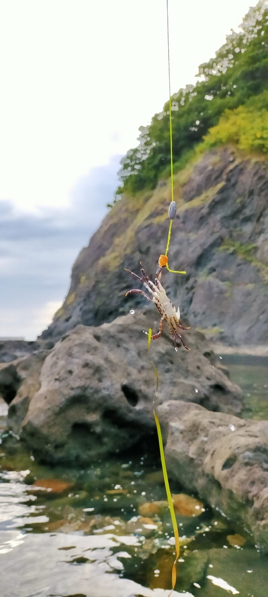 f:id:flyfisher417:20210812183837j:plain