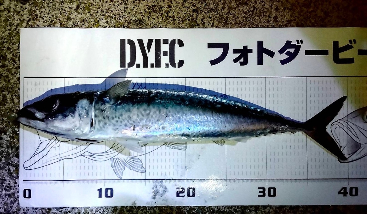 f:id:flyfisher417:20210812205325j:plain