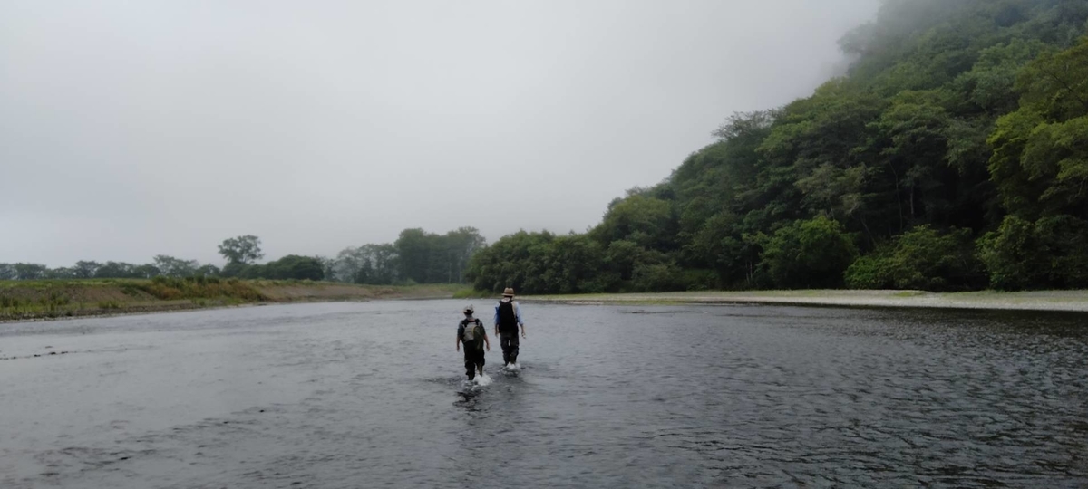 f:id:flyfisher417:20210818212333j:plain