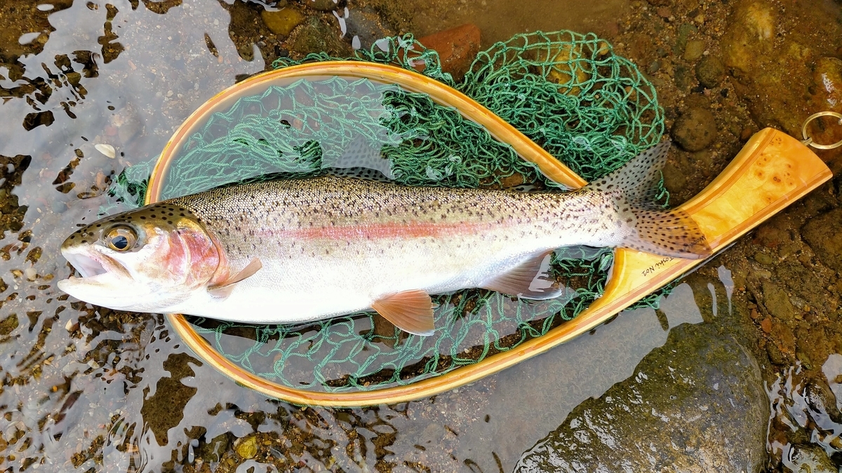f:id:flyfisher417:20210818212555j:plain