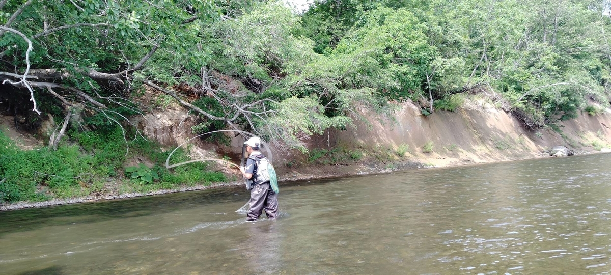 f:id:flyfisher417:20210819122621j:plain