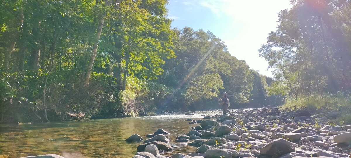f:id:flyfisher417:20210822143919j:plain