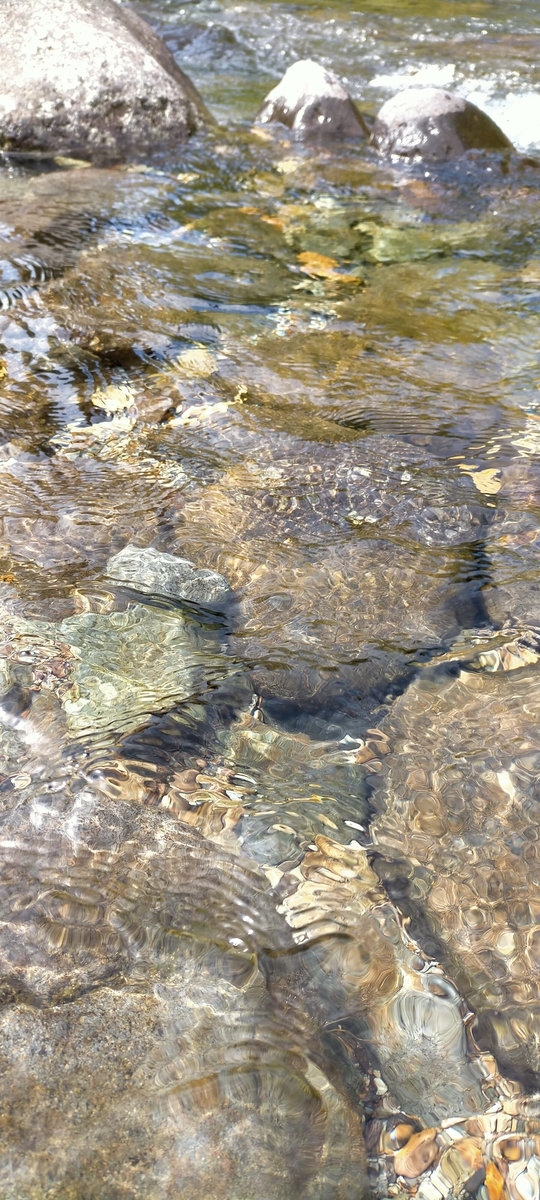 f:id:flyfisher417:20210822144029j:plain