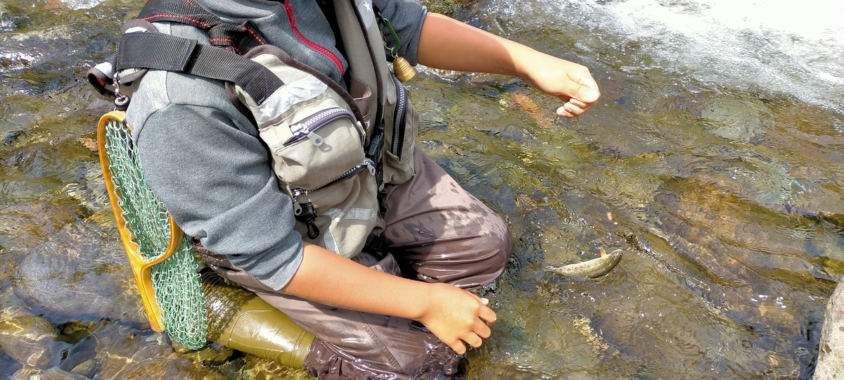 f:id:flyfisher417:20210822144100j:plain