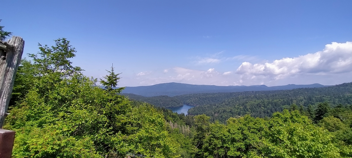 f:id:flyfisher417:20210823203511j:plain