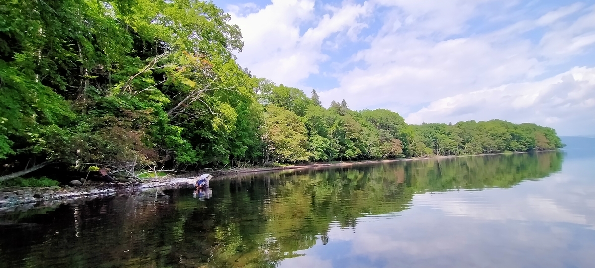 f:id:flyfisher417:20210823203907j:plain