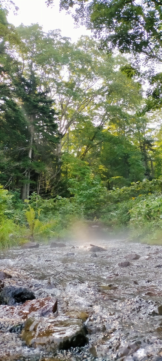 f:id:flyfisher417:20210823203937j:plain